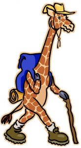 image of giraffe hiking with walking stick, backpack and hat
