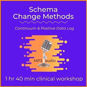 mp3 audio cover art for schema change methods