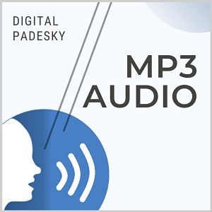 logo for mp3 audio programs