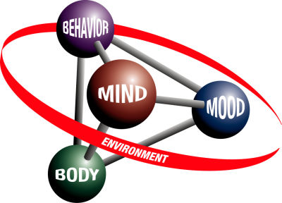 copyrighted 5 part model logo showing mind mood body behavior and environment