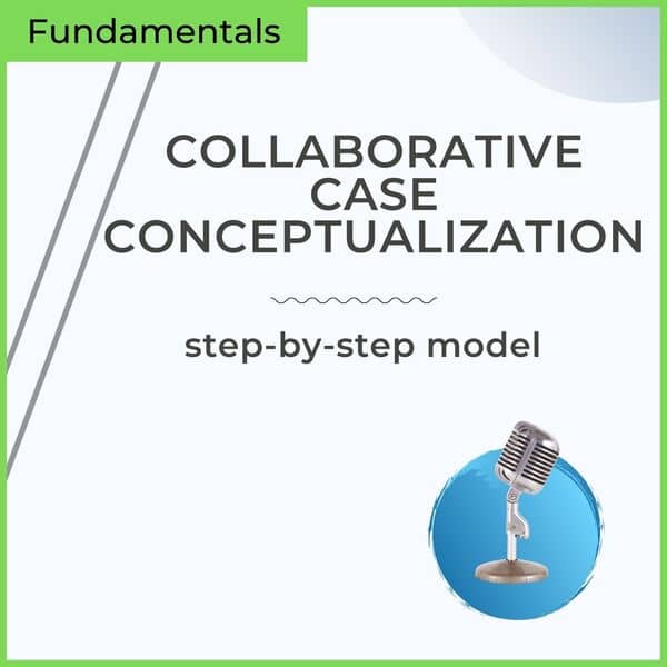 collaborative case conceptualization on mp3 audio