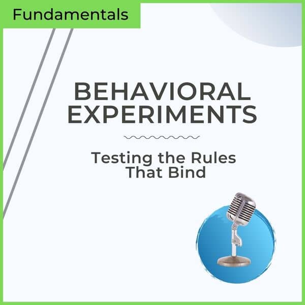 behavioral experiments on mp3 audio